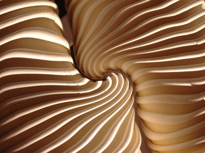 „Intimate Contact”