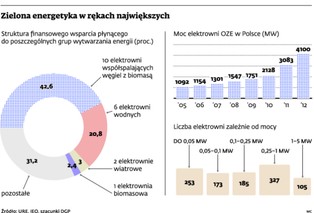 Przydomowe elektrownie: posłowie niechętni zielonej energii