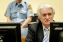 Radovan Karadżić winny m.in. ludobójstwa, skazano go na 40 lat więzienia