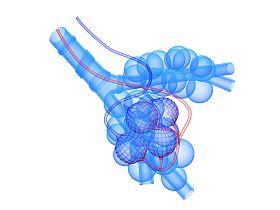 neuroendokrin rák tünetei