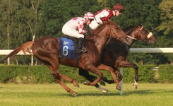 Burza wokół wyścigów konnych, Sejm zmienia ustawę. 'Czy konie będą teraz szybciej biegać?'