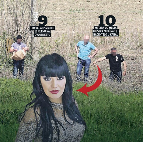 N4KktkqTURBXy9hNjAzM2U0NGNmMDNiOTU5MzllNDYxZTJiNzFkZjY5My5qcGVnk5UCzQMUAMLDlQLNAdYAwsOVB9kyL3B1bHNjbXMvTURBXy8xZDc0Y2I0MTcwNTk1MDQzNjYyOWNhYmQ2MDZmNTBmNi5wbmcHwgA