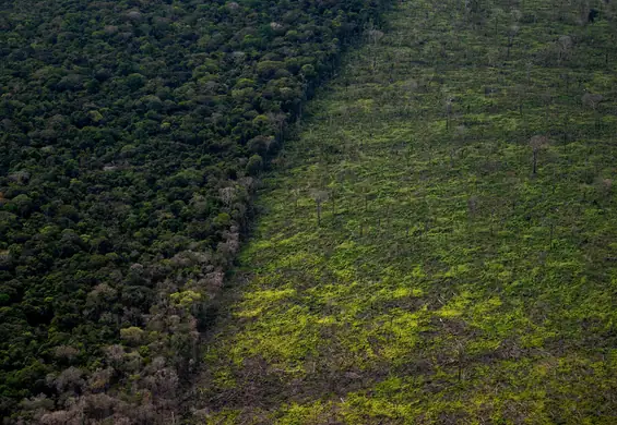 Rdzenne ludy ostrzegają: Amazonia umiera. Już niedługo nie będzie odwrotu