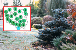 Pierwszy śnieg tuż po Wszystkich Świętych?! Nadchodzi drastyczna zmiana pogody [PROGNOZA IMGW]