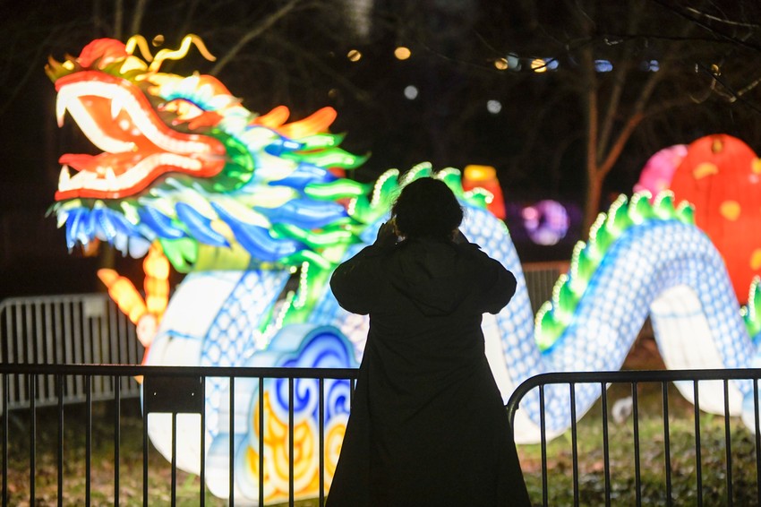 Kineski festival svetla u Novom Sadu