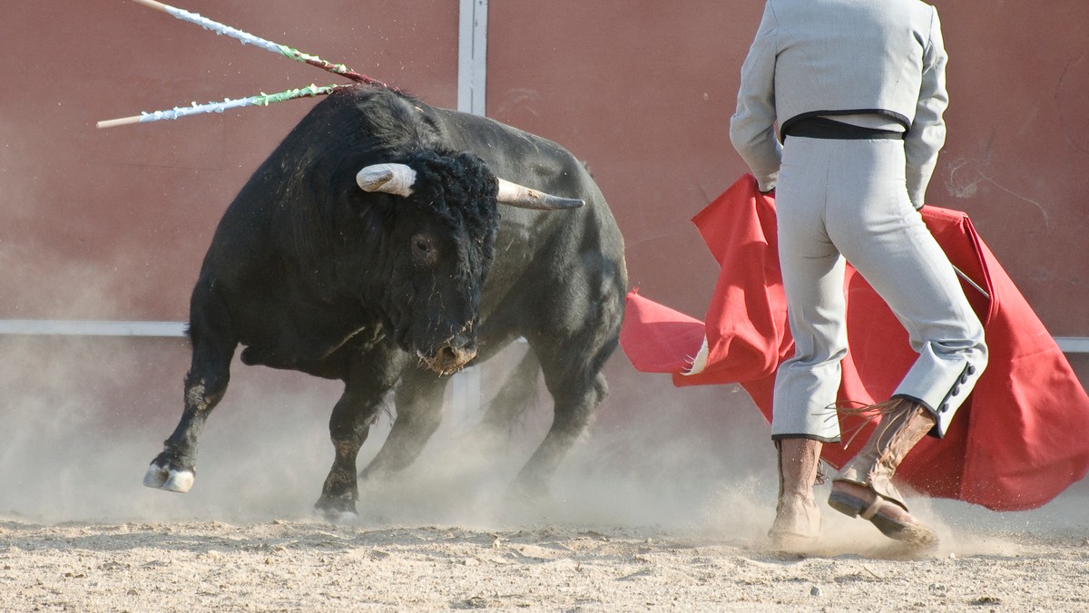 Walka byków Corrida