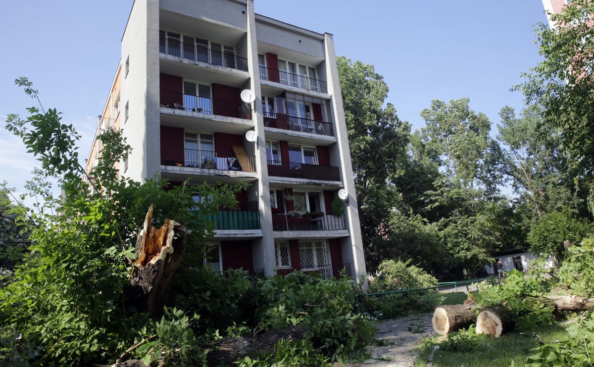 Zniszczenia po burzy w Warszawie