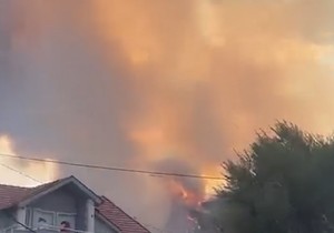 Požar u BIjeloj