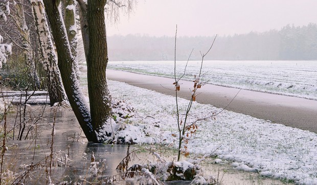 Jednek sa zaleđenom vodom