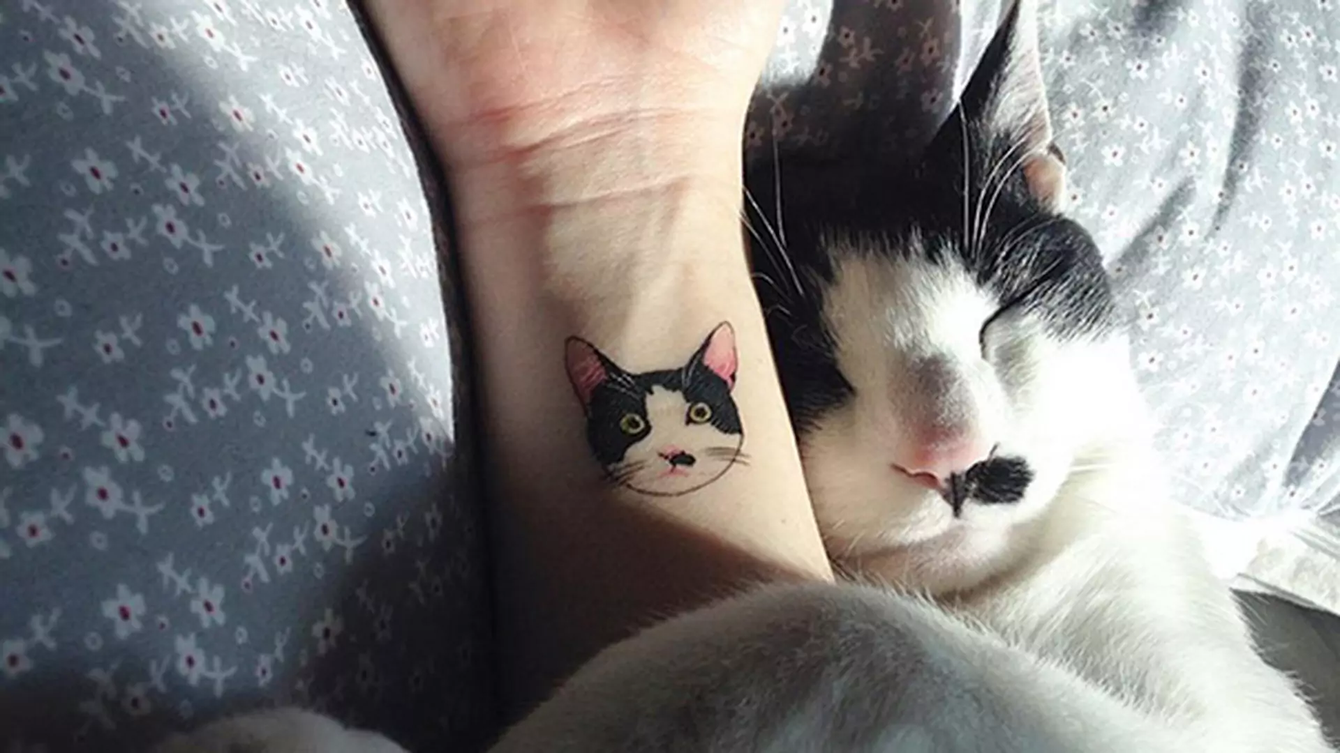 11 pomysłów na tatuaże dla fanek i fanów kotów