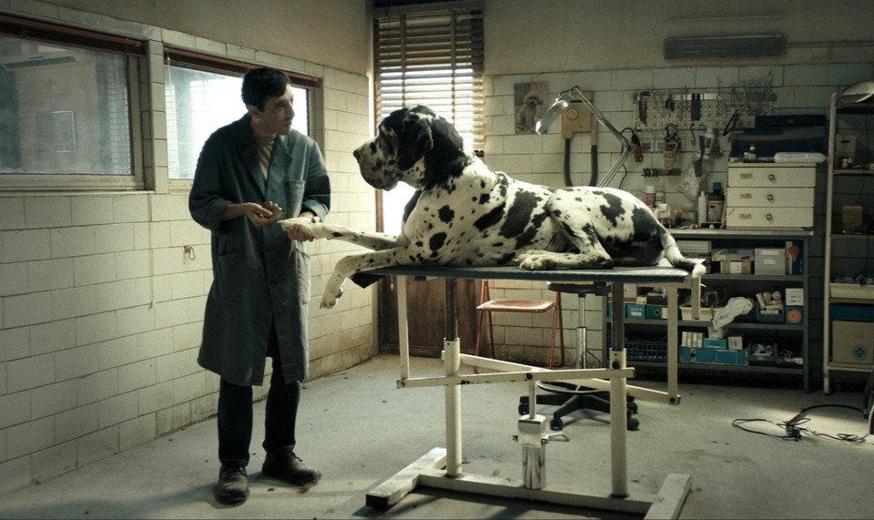 &quot;Dogman&quot;, reż. Matteo Garrone (2018)