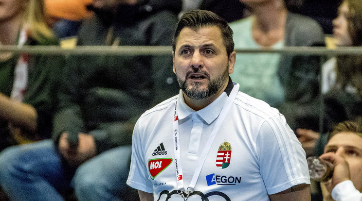 Ljubomir Vjranjes csapata a Veszprém a múlt héten 32-25-re kikapott a dán Skjern vendégeként /Fotó: MTI