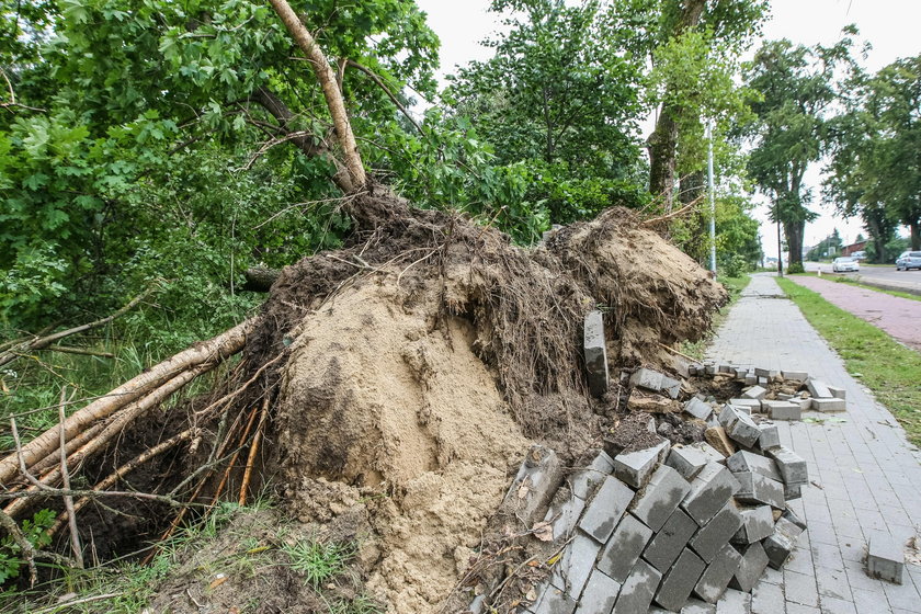 Five people killed in storms in Suszek