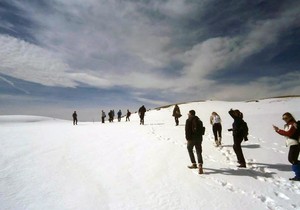 Mika Savić Piri planinari foca