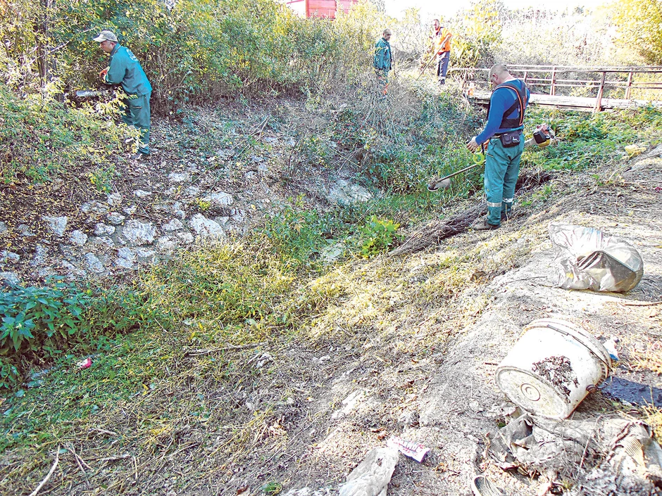 Uklonjeno i divlje rastinje