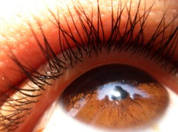 "Tak" dla leku na porost rzęs