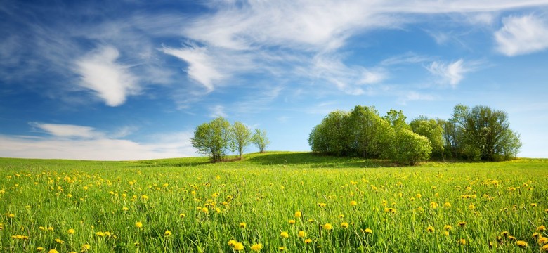 Burze, upały i susza. Wiosenna prognoza amerykańskich meteorologów