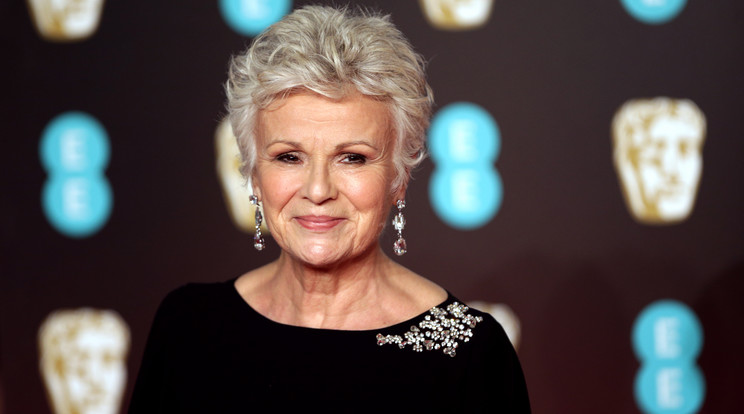 Julie Walters, a képernyős legendát leváltották a Channel 4 egyik közelgő drámájából egészségügyi állapota miatt/ Fotó: Northfoto