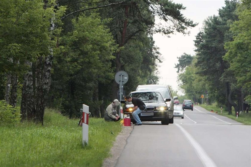 Co Kwaśniewski robi w lesie?