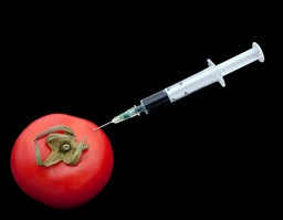 Producenci informujący, że żywność nie jest modyfikowana genetycznie, będą musieli spełnić ustawowe wymagania