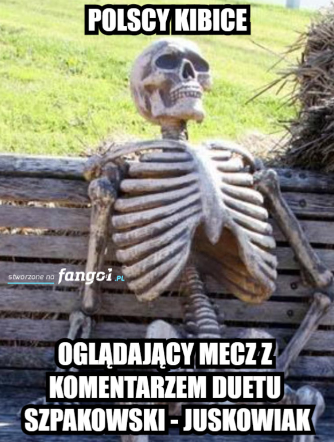 Memy po meczu Czechy-Dania