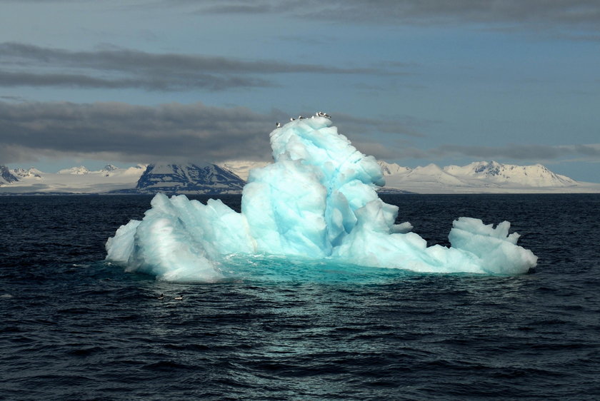 Wyprawa na Spitsbergen 2015