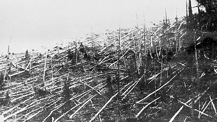 Widok powalonych drzew w pobliżu uderzenia obiektu w 1927 roku (domena publiczna)