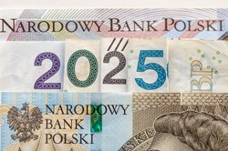 Jakie podatki dla przedsiębiorców w 2025 roku? Do 20 lutego trzeba dokonać wyboru