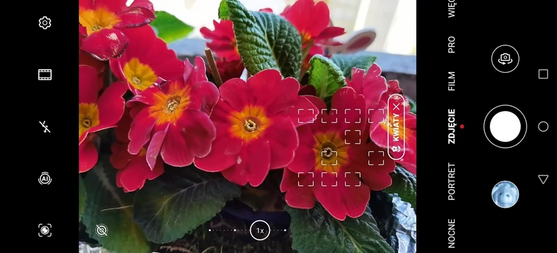 Roślinność, kwiaty, plaża, niebo, portret, noc – sztuczna inteligencja Huawei P40 Pro wie, jak zrobić dobre zdjęcie różnym obiektom i to w każdych warunkach oświetleniowych
