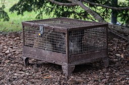 Kolejny dzień górniczych protestów