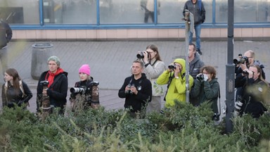 Ten ptak wywołał sensację w Warszawie. Rozbił się o szklaną wiatę