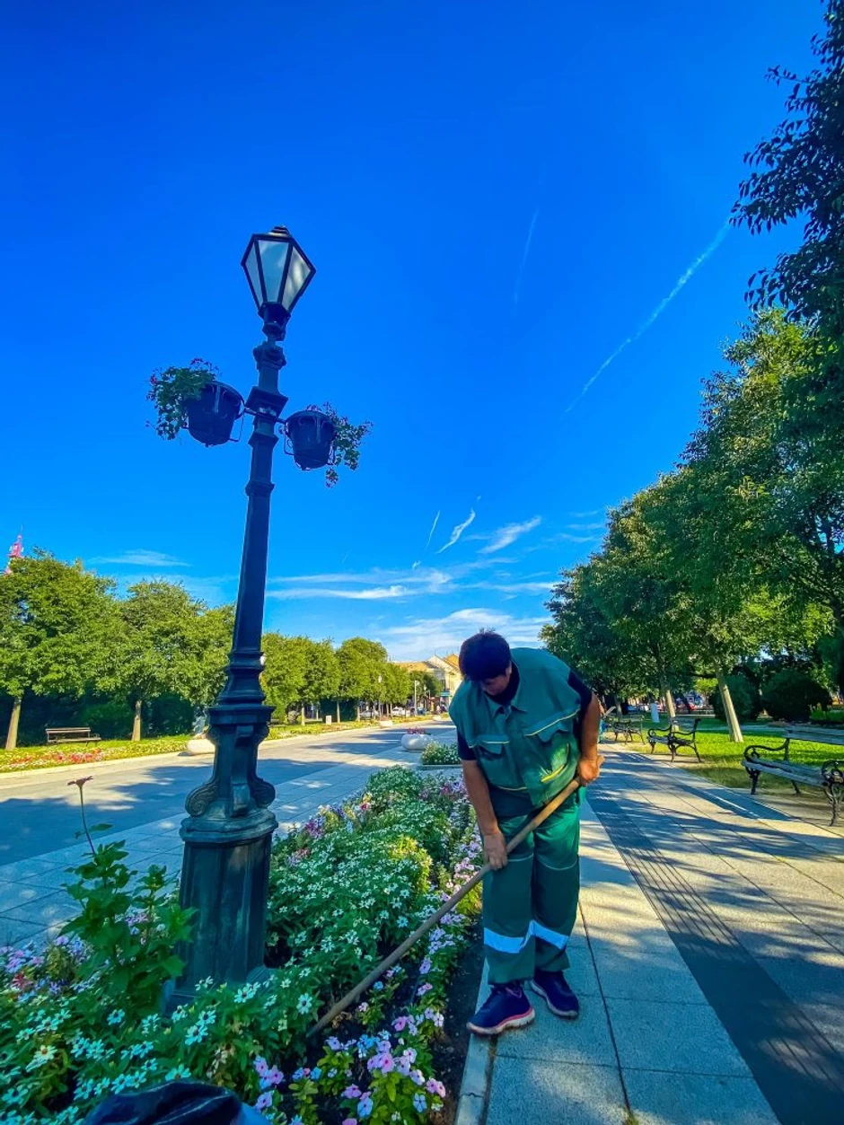 Uređenje zelenih površina u Somboru
