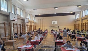 OŠ "Radoje Domanović" u Nišu