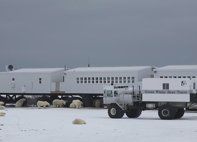 Tundra Lodge Rolling Hotel w Manitobie, Kanada