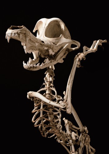 ... i w muzeum, jak zwykle zawadiacki