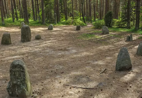 "Polskie Stonehenge" na Kaszubach. Mówią: weź ten kamień do domu, a stanie się krzywda