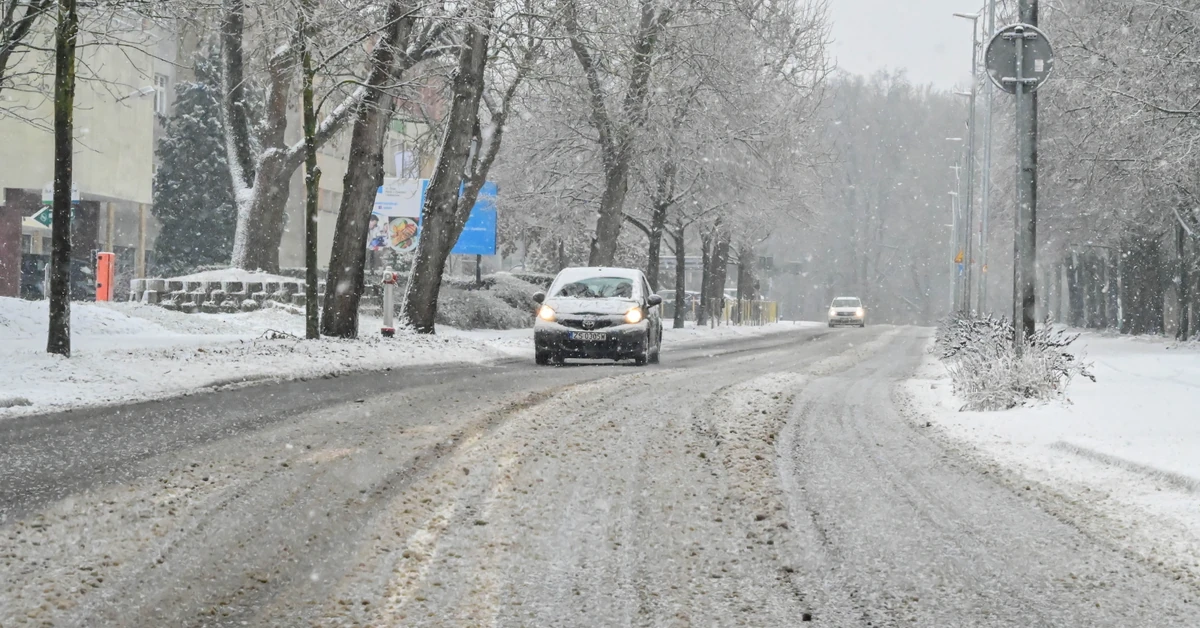 Ekstremalne warunki pogodowe. Wszystkie uczelnie w mieście odwołały zajęcia