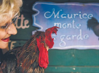 Czyściciele gospodarstw.  Trzeba przyjąć, że jeśli chcemy mieszkać na wsi, to bierzemy ją ze wszystkim. Także z piejącym kogutem