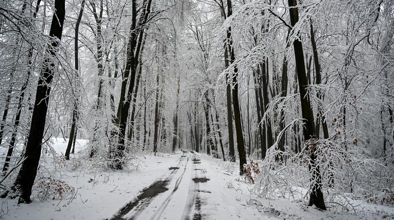  Intensywne opady śniegu w Przemyślu.