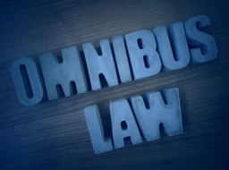 Omnibus i dyrektywa cyfrowa. Rozsądek podpowiada, żeby te projekty procedować łącznie [WYWIAD]