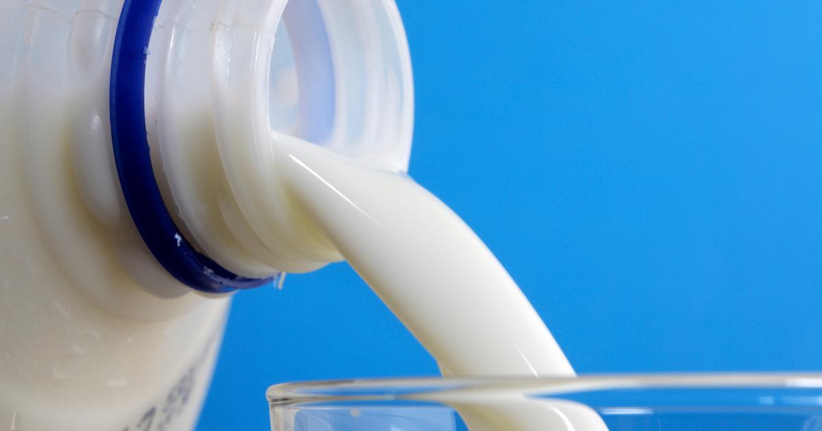 New research says cow's milk is better for you than oat milk or other plant-based vegan alternatives - Business Insider Africa