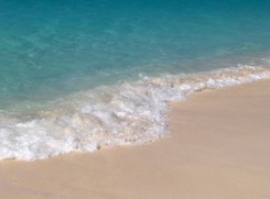 Sinice nad Bałtykiem. Nieczynne tylko jedno nadmorskie kąpielisko