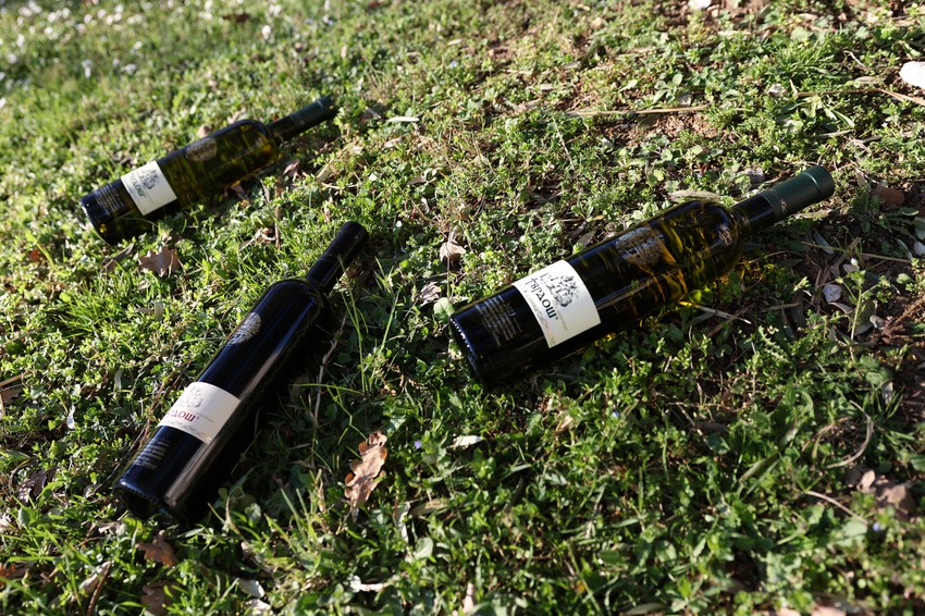 manastir-Tvrdos-vino-foto-M-Jakovljevic-ringier-2-scaled