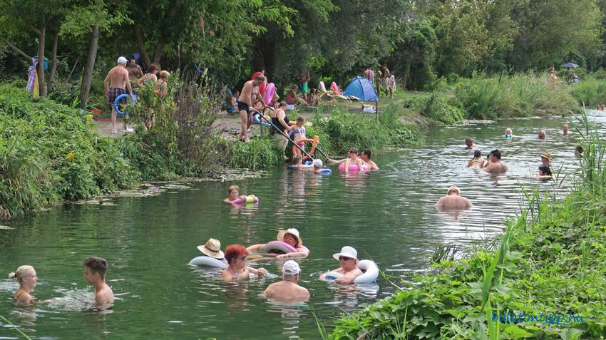 Fürdőzők a Hévízi-csatornán - Fotó: Győrffy Attila, balatontipp.hu