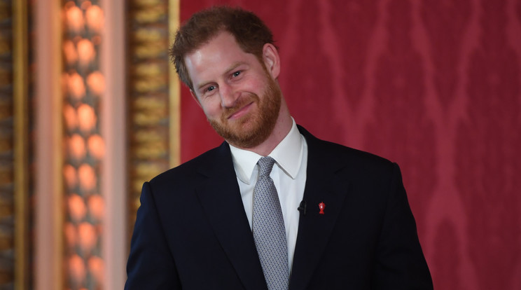 Harry herceg a koronavírus miatt nem látogat haza az Egyesült Királyságba./ Fotó: Northfoto