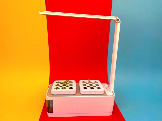 Vergleichstest: 7 smarte Indoor-Gärten ab 35 Euro | TechStage