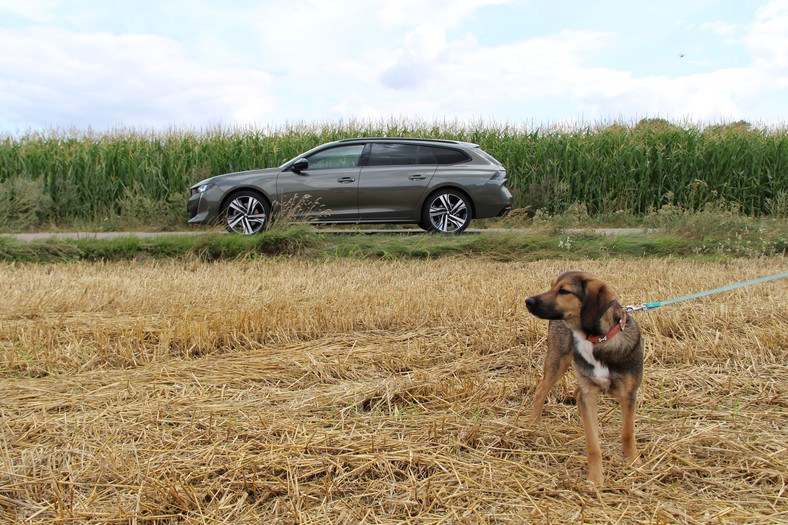 Peugeot 508 SW 2.0 BlueHDi 180 KM AT8 GT