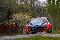 Groźny wypadek Olivera Solberga podczas Rajdu Chorwacji [WIDEO]