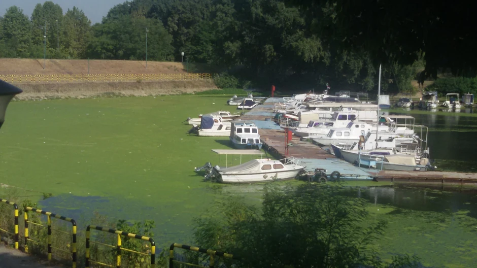 Situacija je danas malo bolja