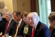 U.S. President Trump attends a lunch meeting with members of Congress at the Cabinet Room of the Whi